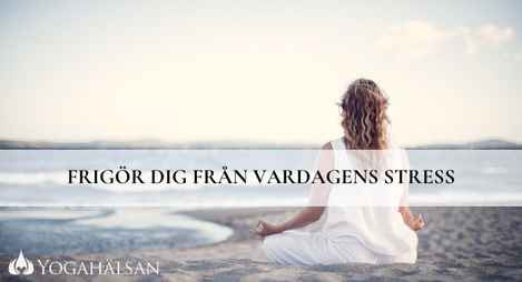 FRIGOR-DIG-FRN-VARDAGENS-STRESS-469w-254h[1]